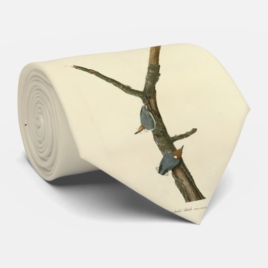 茶色い頭のヌサッチ – オードボンのアメリカの鳥 ネクタイ (ロール)