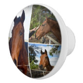 茶色い馬のコラージュ セラミックノブ (右)