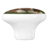 茶色および白い牛置くことの閉めて下さい セラミックノブ (側面)