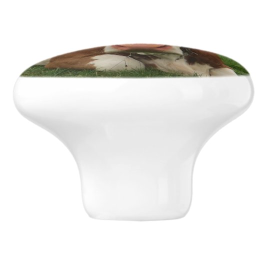 茶色および白い牛置くことの閉めて下さい セラミックノブ (側面)