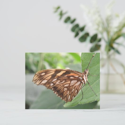 茶色かわいらしの蝶はがき ポストカード (スタンド正面)