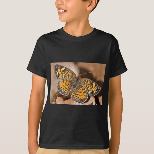 茶色とオレンジ色の蛾の衣類とギフト Tシャツ (正面)