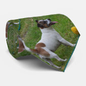 茶色と白のキツネテリアにボール ネクタイ (ロール)