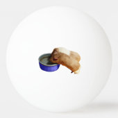 茶色と白のモルモット二頭。 卓球ボール (裏面)