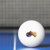 茶色と白のモルモット二頭。 卓球ボール (ネット)