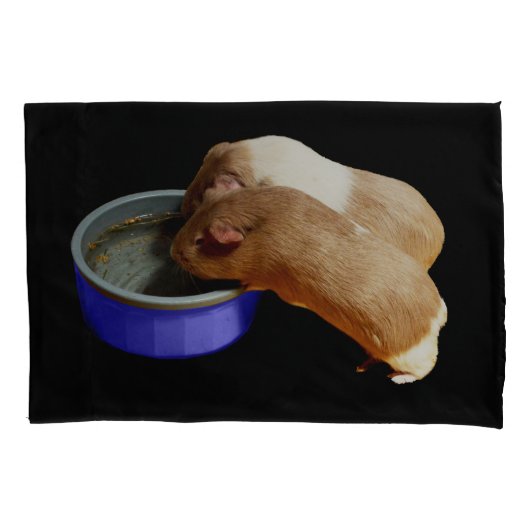 茶色と白のモルモット二頭。 枕カバー (正面)