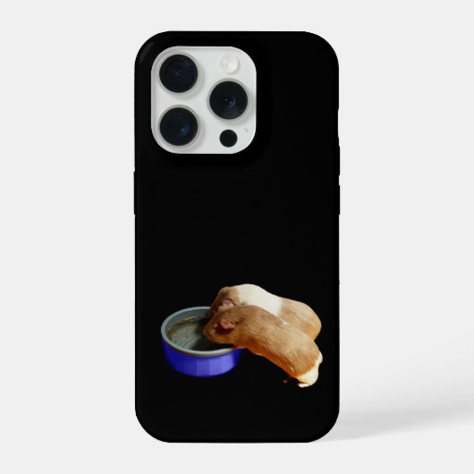 茶色と白のモルモット、 iPhoneケース (裏面)