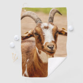 茶色と白のヤギ ゴルフタオル (インサイチュ)