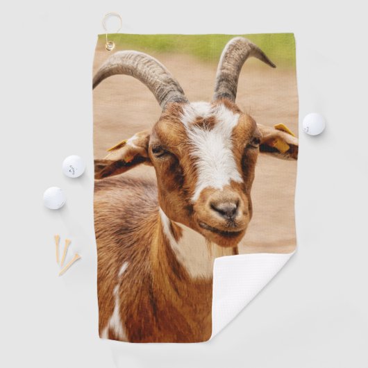 茶色と白のヤギ ゴルフタオル (インサイチュ)