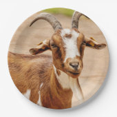 茶色と白のヤギ ペーパープレート (正面)