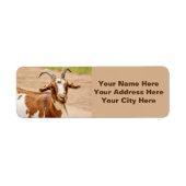 茶色と白のヤギ ラベル (正面)