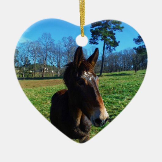 茶色と白のラバ セラミックオーナメント (正面)