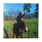 茶色と白のラバ タイル (正面)