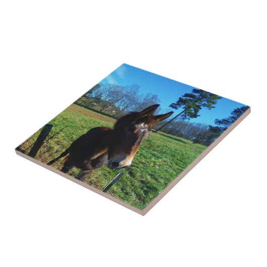 茶色と白のラバ タイル (側面)