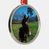 茶色と白のラバ メタルオーナメント (右)