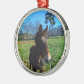 茶色と白のラバ メタルオーナメント (左)