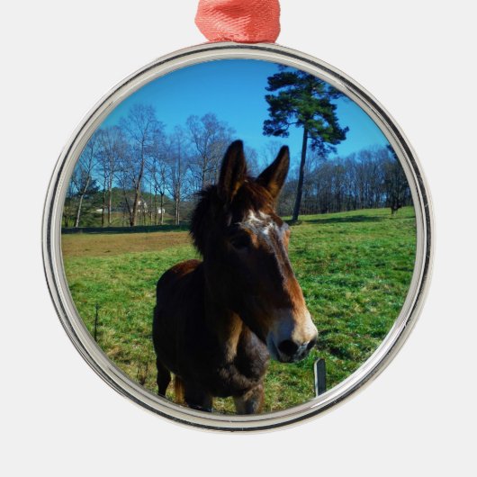 茶色と白のラバ メタルオーナメント (正面)