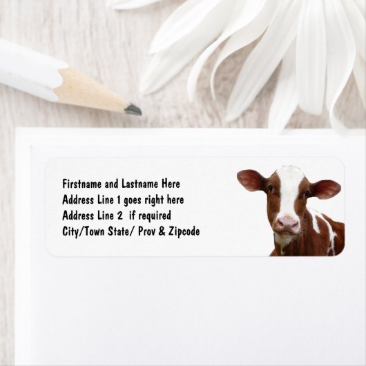 茶色と白の乳牛 ラベル (インサイチュ)