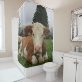 茶色と白の牛が倒れるクローズアップ シャワーカーテン (インサイチュ)