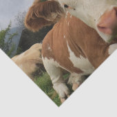 茶色と白の牛が倒れるクローズアップ 薄葉紙 (詳細)