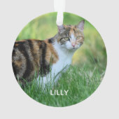茶色と白の猫 オーナメント (裏面)