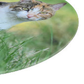 茶色と白の猫 カッティングボード (角)