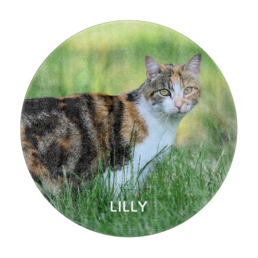 茶色と白の猫 カッティングボード (正面)