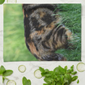 茶色と白の猫 キッチンタオル (折り畳み)