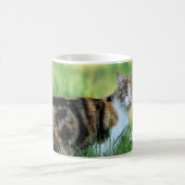 茶色と白の猫 コーヒーマグカップ (中央)