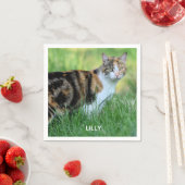 茶色と白の猫 スタンダードカクテルナプキン (インサイチュ)