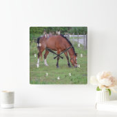 茶色と白の馬の放牧ウマ科の動物 ラウンド壁時計 (ホーム)