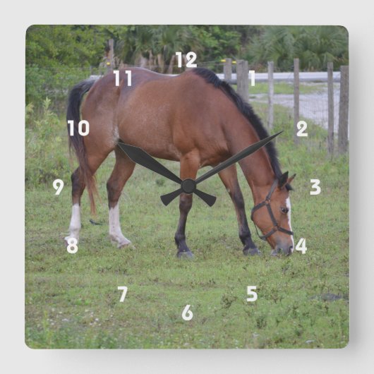 茶色と白の馬の放牧ウマ科の動物 ラウンド壁時計 (正面)