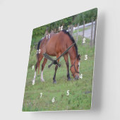茶色と白の馬の放牧ウマ科の動物 ラウンド壁時計 (傾斜)