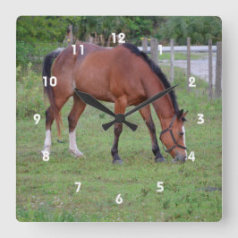 茶色と白の馬の放牧ウマ科の動物 ラウンド壁時計