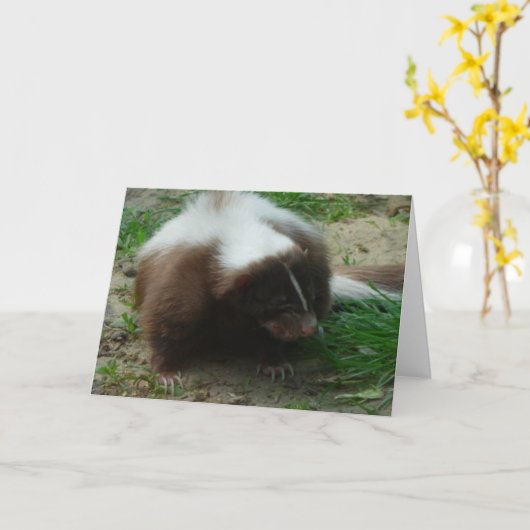 茶色と白のSkunkグリーティングカード カード (黄色い花)