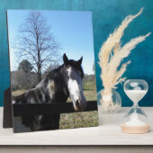 茶色と白、ペイントされた馬、明るい青空 フォトプラーク (側面)