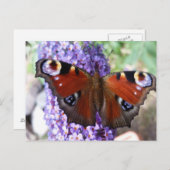 茶色と紫の蝶々紫の花はがき ポストカード (正面/裏面)