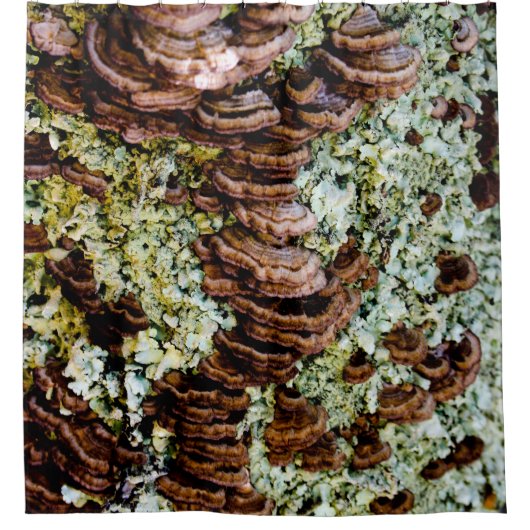 茶色と緑のキノコのシャワーカーテン シャワーカーテン (正面)