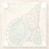 茶色と緑の貝殻 ガラスコースター (裏面)