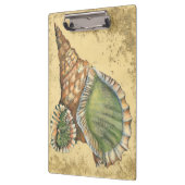 茶色と緑の貝殻 クリップボード (左)