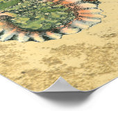 茶色と緑の貝殻 ポスター (角)