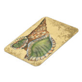 茶色と緑の貝殻 マグネット (左側)