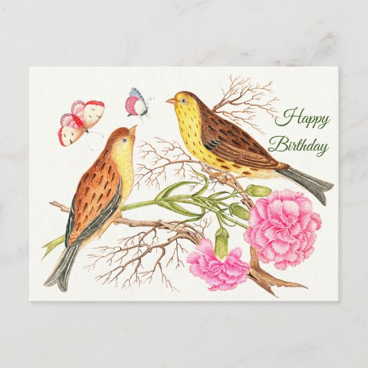 茶色と黄色の鳥が枝に二羽、誕生日 ポストカード (正面)
