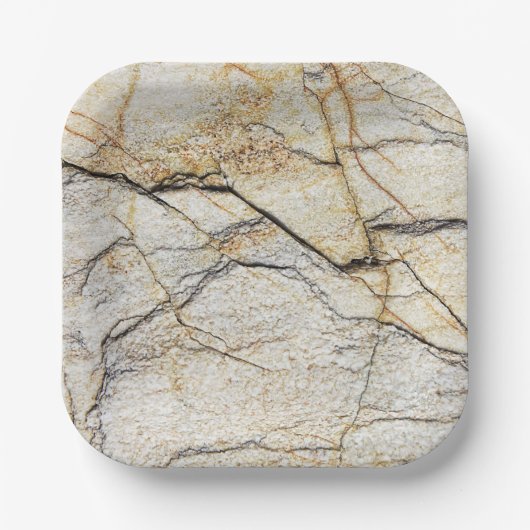 茶色と黒のテクスチャ加工が可能な石 ペーパープレート (正面)