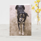 茶色と黒を敷き詰めたかわいい泥の濡れた犬 カード (黄色い花)