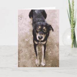 茶色と黒を敷き詰めたかわいい泥の濡れた犬 カード