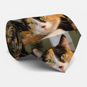 茶色のぶち猫のタイ ネクタイ
