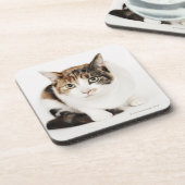 茶色のぶち猫のポートレート コースター (左側)