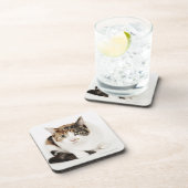 茶色のぶち猫のポートレート コースター (右側)
