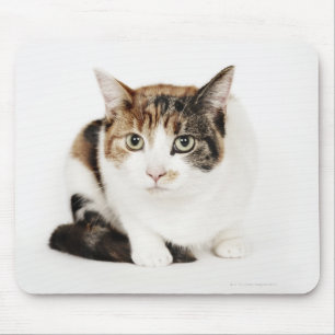 茶色のぶち猫のポートレート マウスパッド